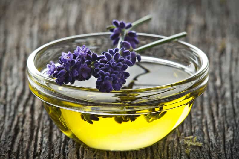 Bible Oils: 12 Most Revered Oils + Their Historic Uses - Dr. Axe