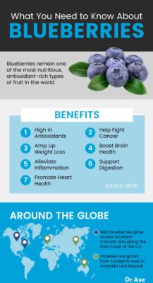 Blueberries: Benefits, Nutrition, Recipes and More - Dr. Axe