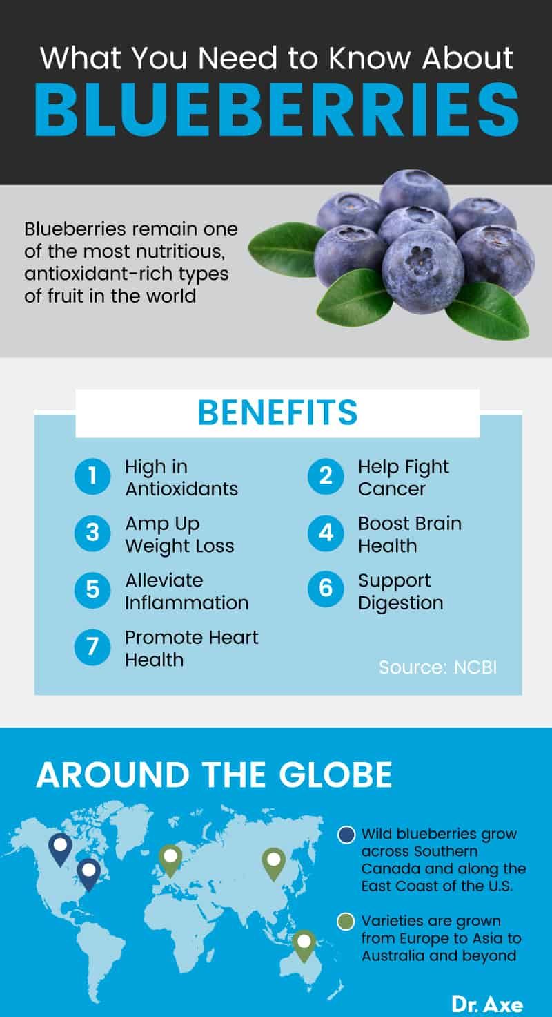 Blueberries Benefits, Nutrition, Recipes and More Dr. Axe