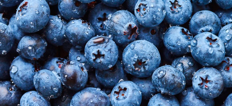 Health benefits of blueberries - Dr. Axe