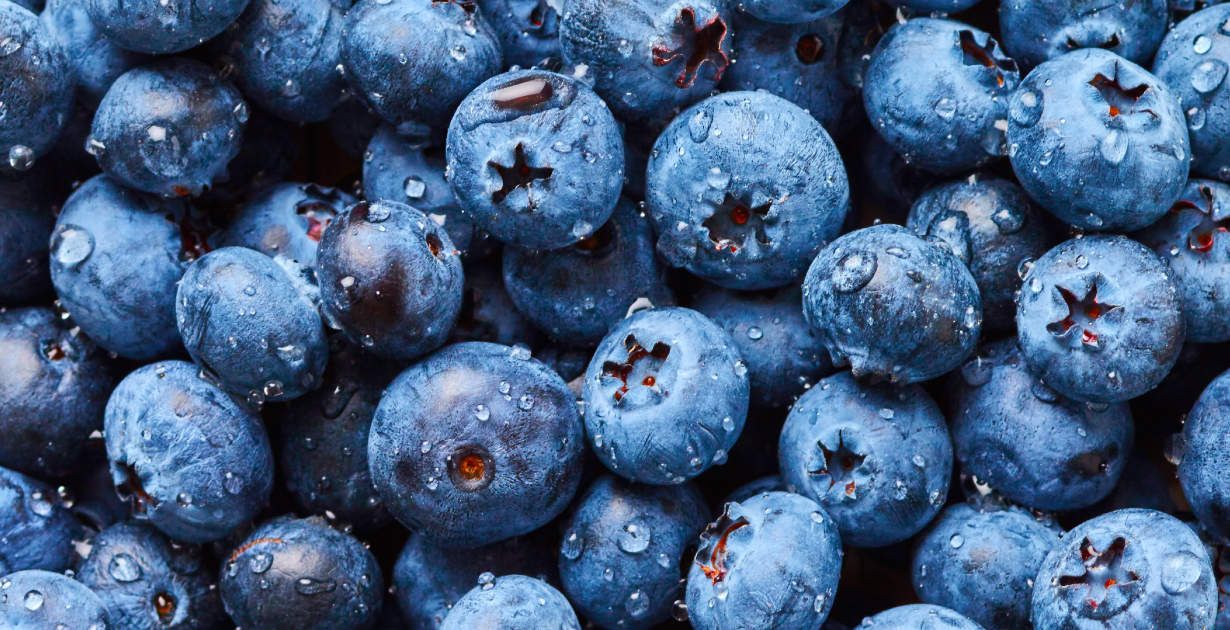 Blue Berries 96