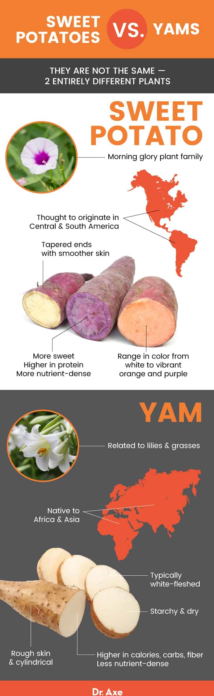 Sweet potato vs. yam - Dr. Axe