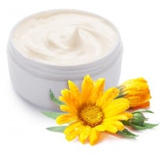 Jar of cream and calendula flower on a white background.