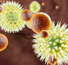 Virus Vs Immune System