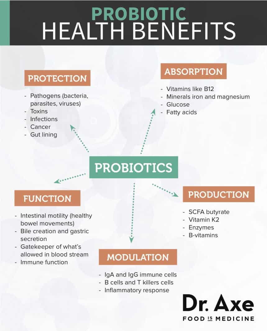 Probiotic Health Benefits Diagram 