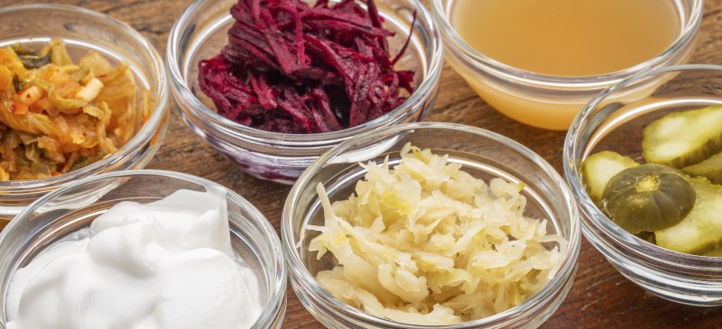 What Are Probiotics? A Beginner’s Guide