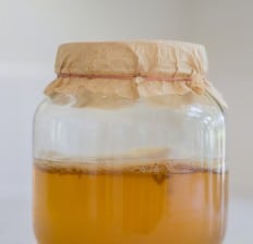 Kombucha Tea