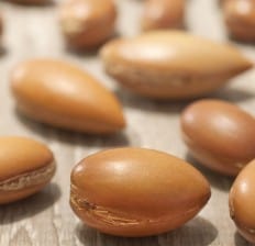 Argan Seeds