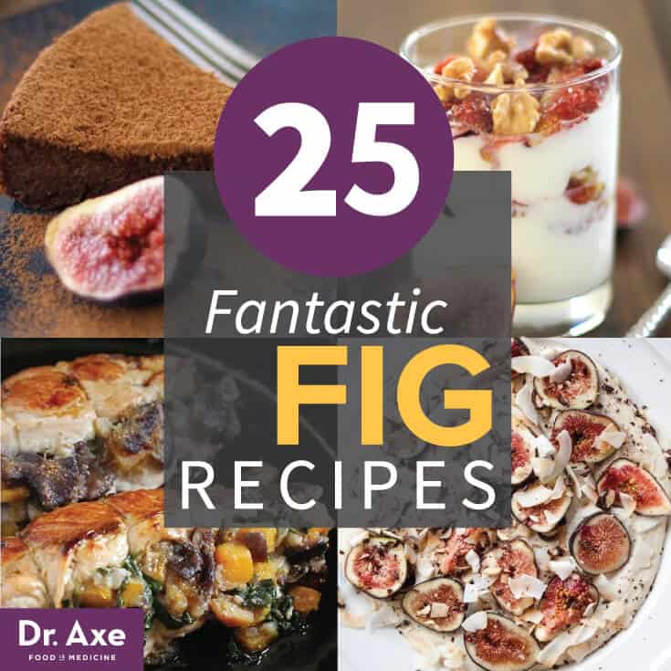 Fig Recipes