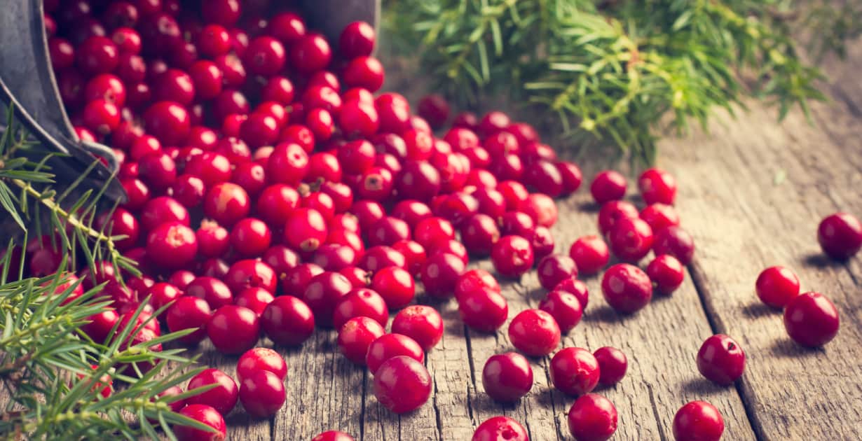 Image result for cranberries