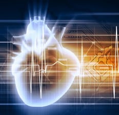 Human Heart with Cardiogram