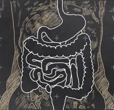 Human Digestive System Chalkboard Illustration 