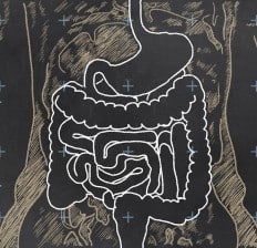 Intestines Sketch