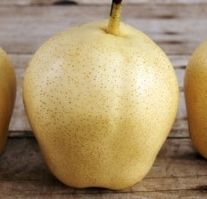 Chinese Asian Pears