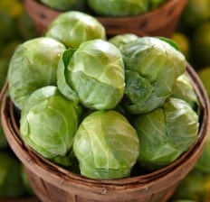 Brussel Sprouts 