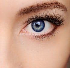 eyes