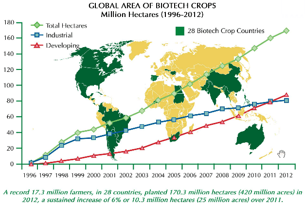 GMO chart