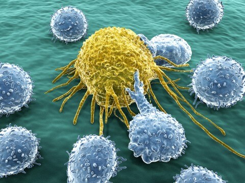 Cancer cell attacked by lymphocytes