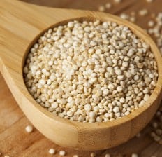 Quinoa seeds in a spoon