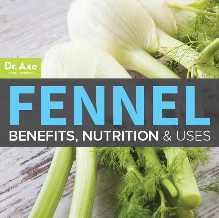 fennel-seed-nutrition