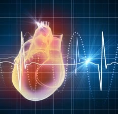 Cardiogram, Heart Rate