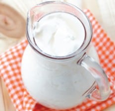 Kefir yogurt jug