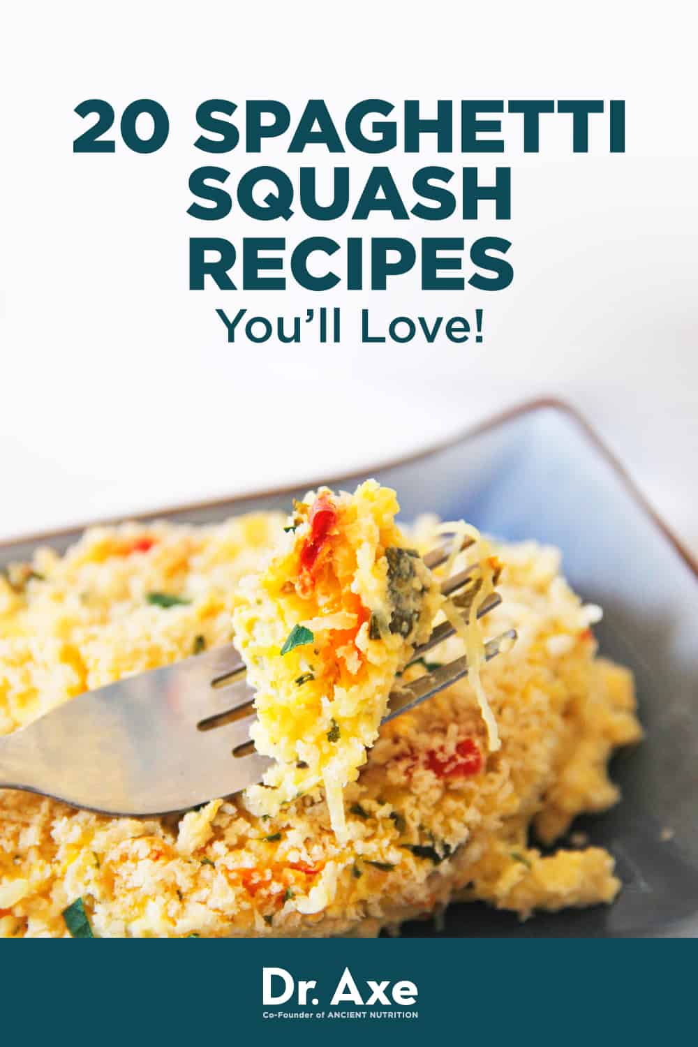 Công thức bí đao Spaghetti - Tiến sĩ Axe