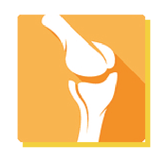 Sunflower Bone Loss Icon