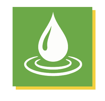 Sunflower Skin Health Icon