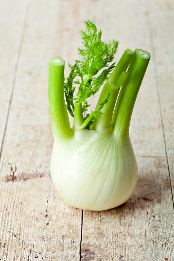 fennel bulb nutrition