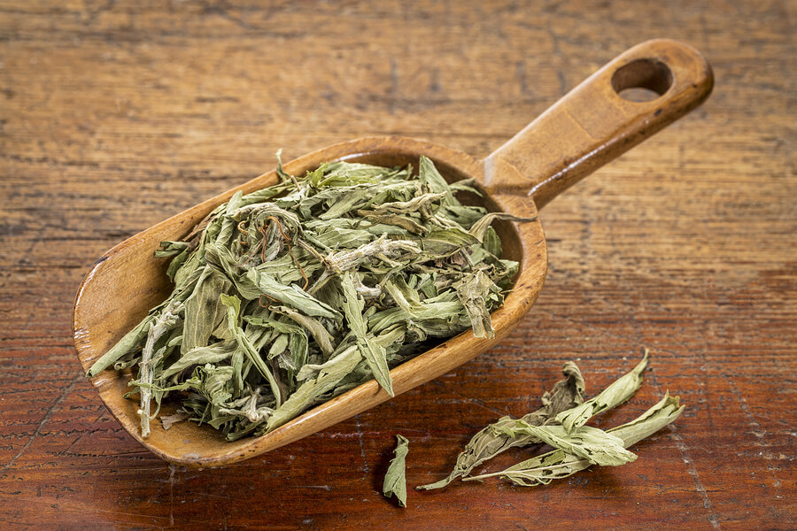 stevia dried leaves