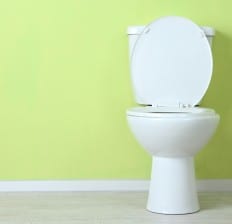 toilet bowl