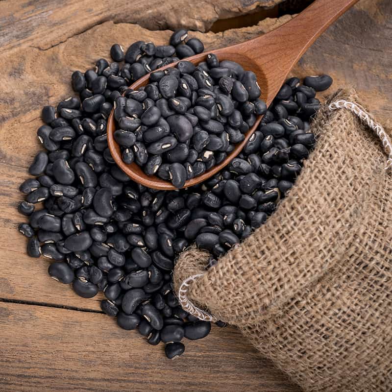 Anfibio Manoscritto Vitello Black Beans Gi Labbra Colpevole Sesso