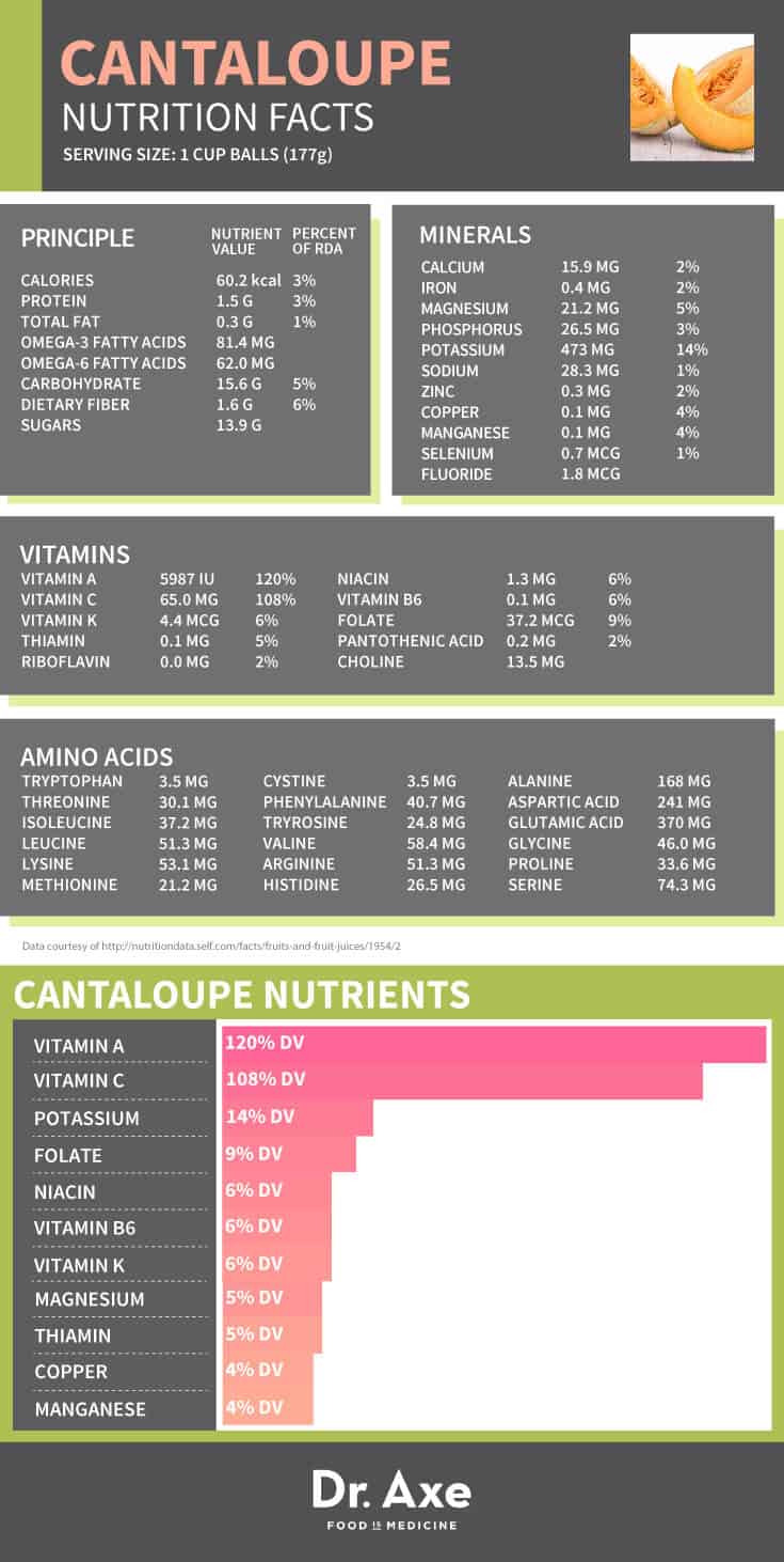 Cantaloupe Nutrients