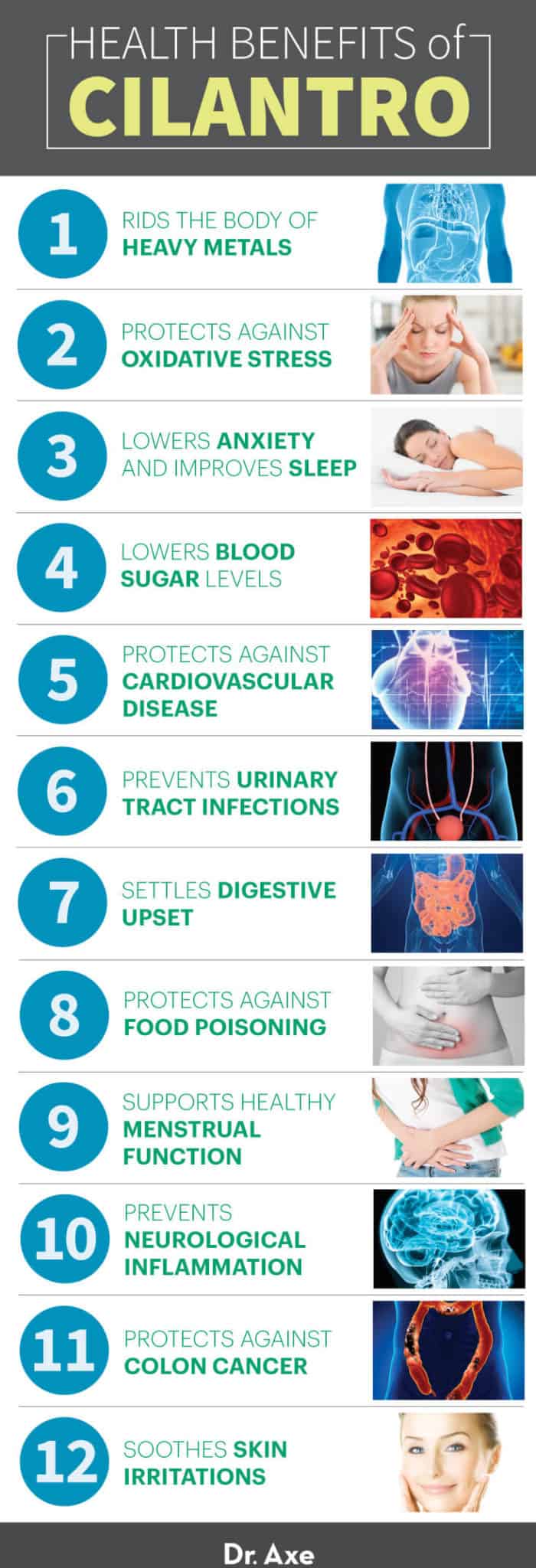 12 Cilantro Benefits, Nutrition, Uses and Recipes Dr. Axe