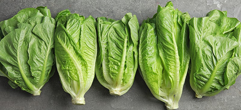 Romaine Lettuce Nutrition Benefits And Recipes Dr Axe