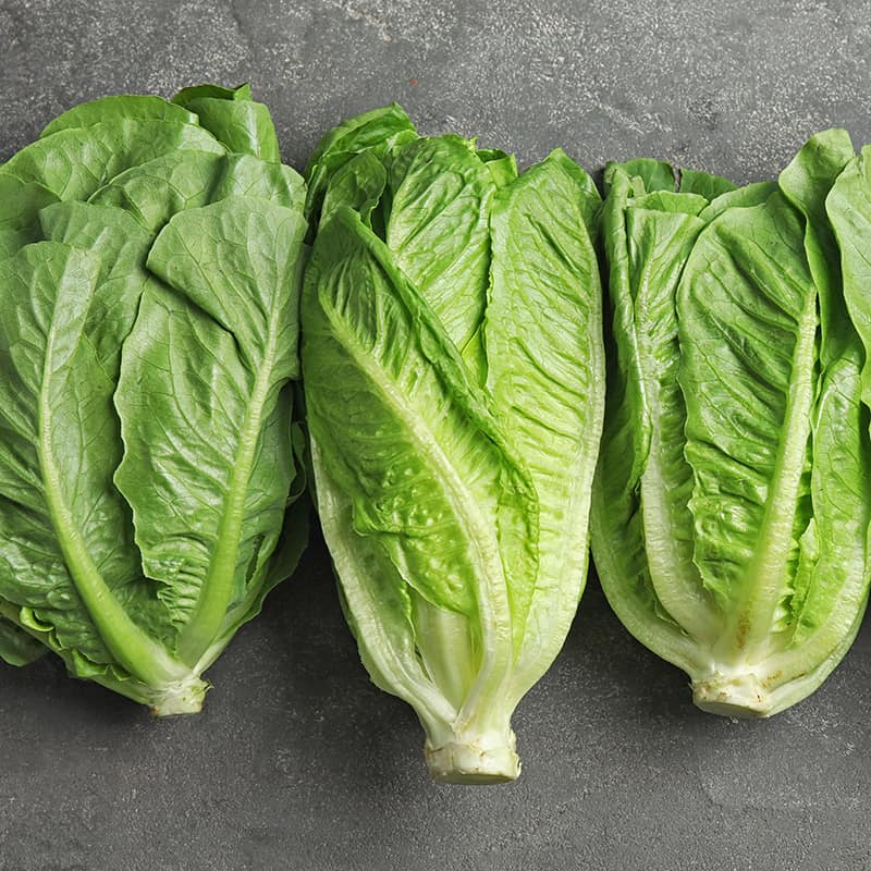 Romaine Lettuce Nutrition Benefits And Recipes Dr Axe