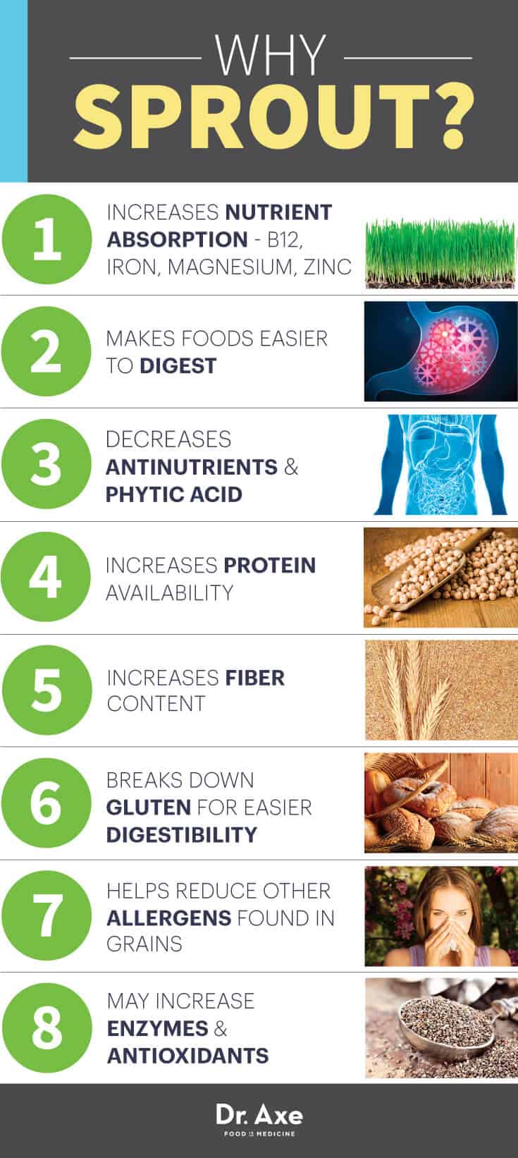 Patates Sağlık Faydaları Infographic