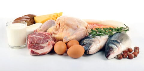 Foods high in protein, types of protien