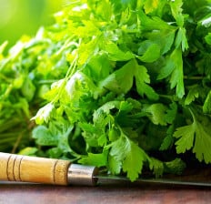 Green Cilantro leaves And Knife