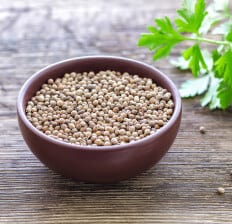 cilantro Seeds & Leaves
