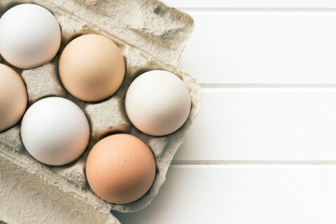 eggs in egg carton