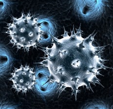 virus 3d image