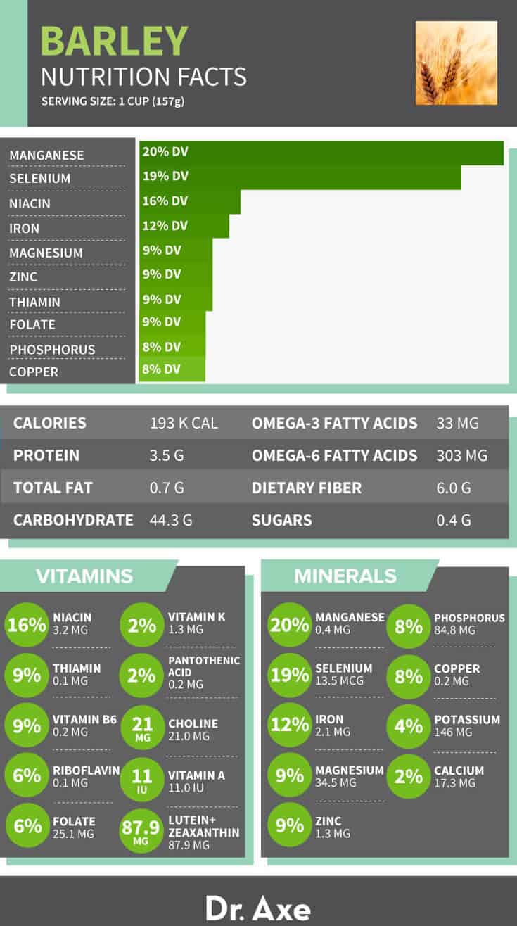 Barley Nutrition Facts Table Infographic