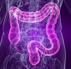 Highlighted Colon virtual illustration 