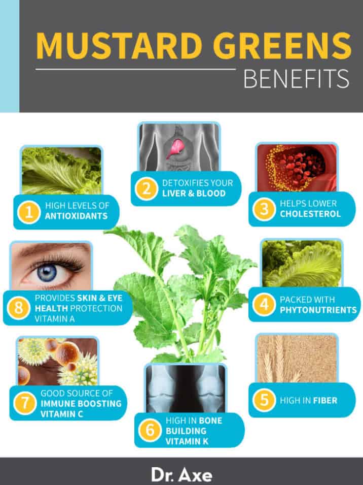 Mustard Greens Nutrition, Health Benefits and Recipes Dr. Axe