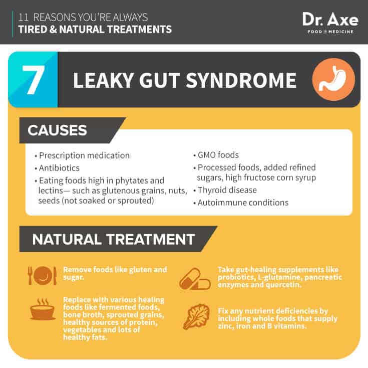 Always Tired, How to Fix it, Leaky Gut Syndrome Infographic