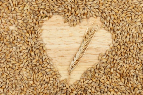 Image result for barley