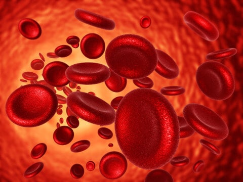 red blood cells