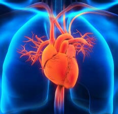 human heart e1425926597880 232x224 - SPRUITJES GEZOND AFVALLEN GEZONDE RECEPTEN VOOR SPIJSVERTERING + VOEDINGSWAARDE 